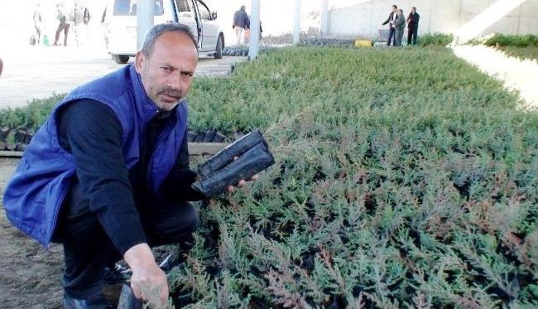 Aksaray&rsquo;da 90 Bin Fidan Dağıtılıyor