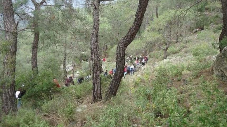 Doğa Y&uuml;r&uuml;y&uuml;ş&uuml;ne Yoğun İlgi