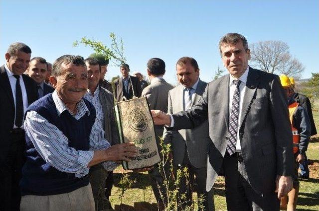 Demirci’de Fidanlar Toprakla Buluştu