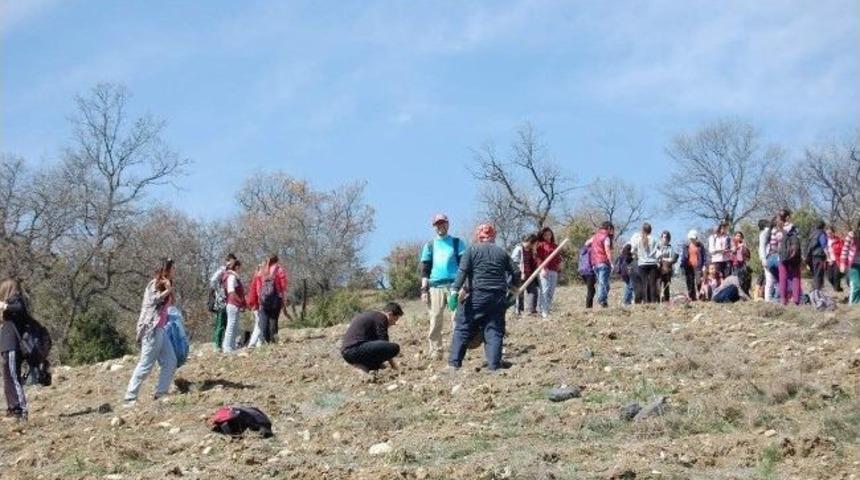 Doğacı Gen&ccedil;lerden Fidan Dikimi Ve Doğa Y&uuml;r&uuml;y&uuml;ş&uuml;