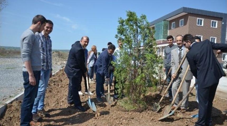 Bafra Turizm Fak&uuml;ltesi Bah&ccedil;esi Ağa&ccedil;landırıldı