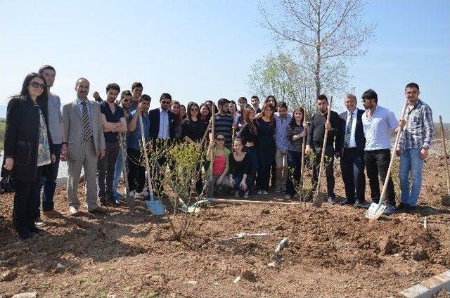 Bafra Turizm Fakültesi Bahçesi Ağaçlandırıldı