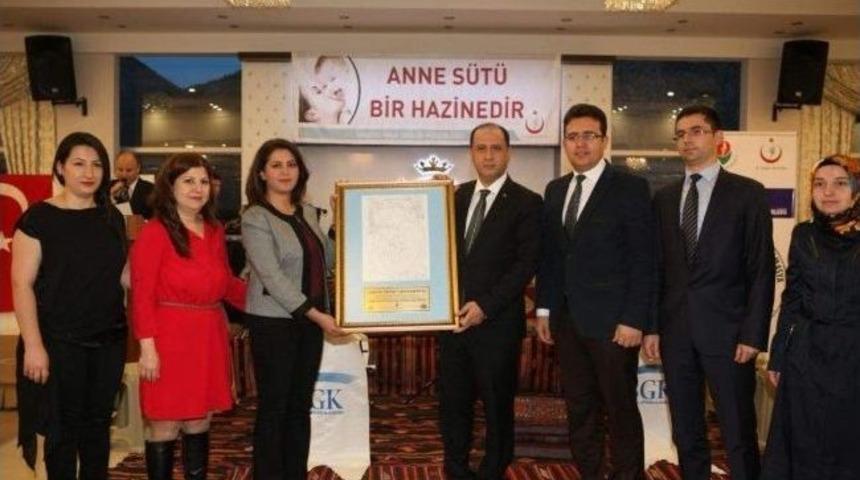 Amasya Altın Bebek Dostu Oldu