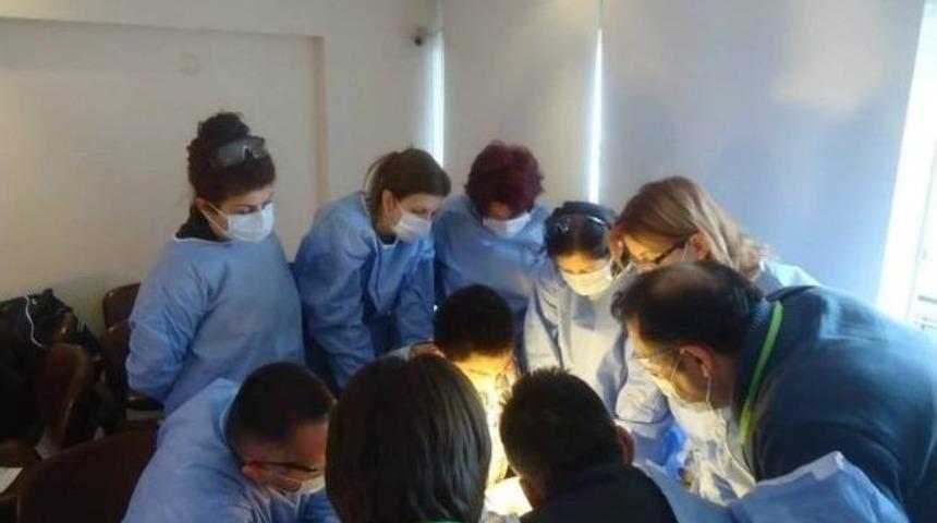 Veterinerlere Kedi Ve K&ouml;peklerde Diş Sağlığı Ve Tedavi Y&ouml;ntemleri Anlatıldı