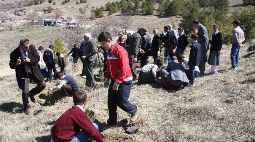 Nevruz Ormanına Fidanlar Dikildi