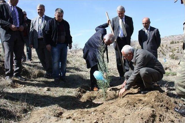 Nevruz Ormanına Fidanlar Dikildi