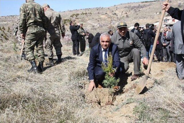 Nevruz Ormanına Fidanlar Dikildi