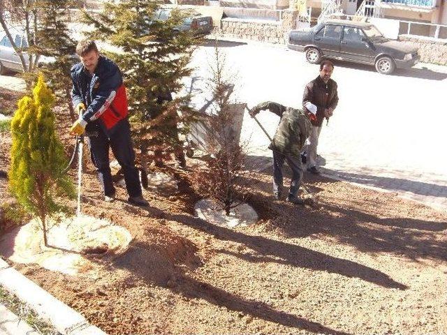 Bünyan Belediyesi 2014 Yaz Dönemi Çalışmaları Hızla Devam Ediyor