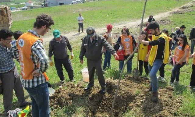 Tkb Ölen Kadınlar İçin 150 Fidan Dikti