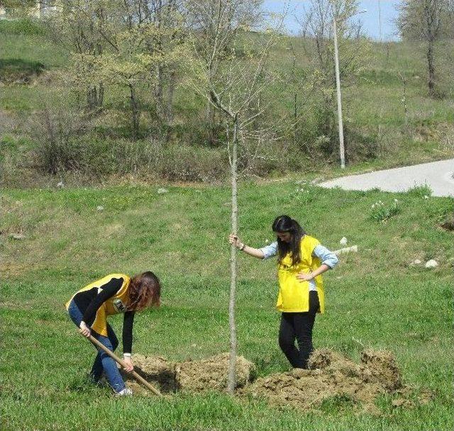 Tkb Ölen Kadınlar İçin 150 Fidan Dikti