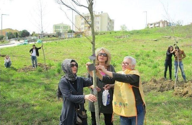 Tkb Ölen Kadınlar İçin 150 Fidan Dikti