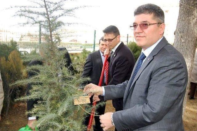 Ölen Meteoroloji Personelleri İçin Fidan Diktiler