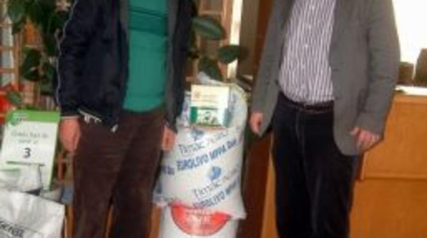 Burhaniye&rsquo;de Akıllı G&uuml;bre Zeytin De Verimi Artırdı