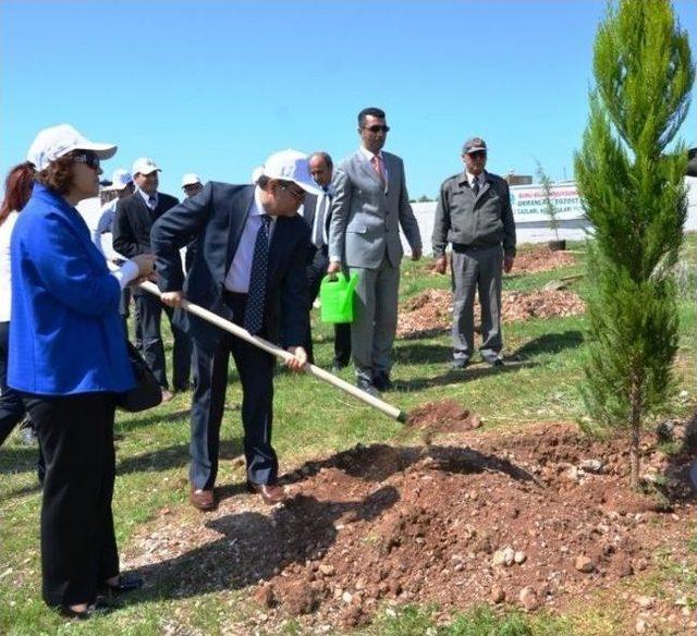 Ağaç Bayramı’nda Fidanlar Toprakla Buluştu