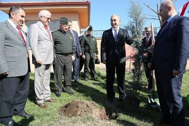 Sakarya'da Ormancılık Günü Kutlandı