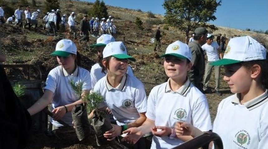Kalem Tutan Eller 300 Fidan Diktiler