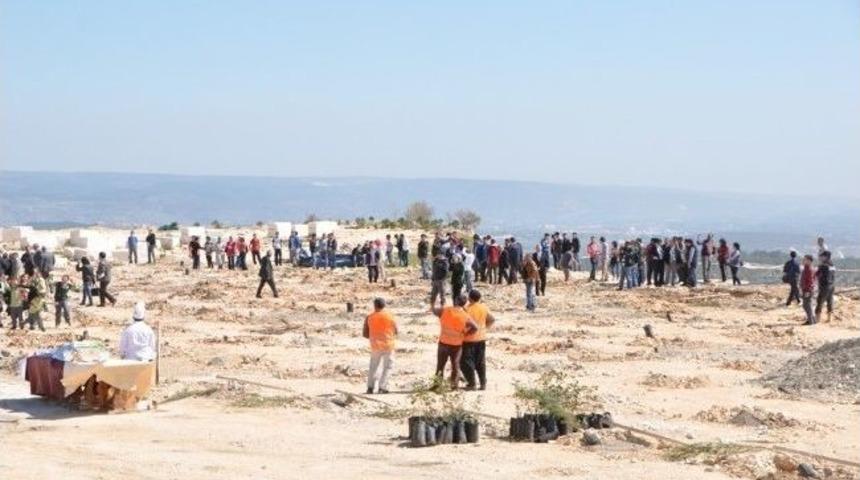 Silifke&rsquo;de Maden Sahasına Fidan Dikildi