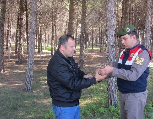 Şahin Satıcılarına Sanal Ortamda Suçüstü