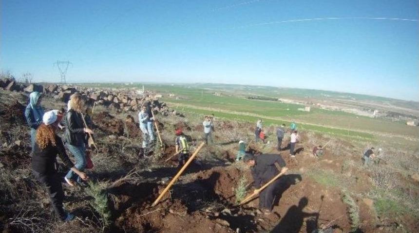 Yama&ccedil; Paraş&uuml;t&ccedil;&uuml;leri Fidan Dikti