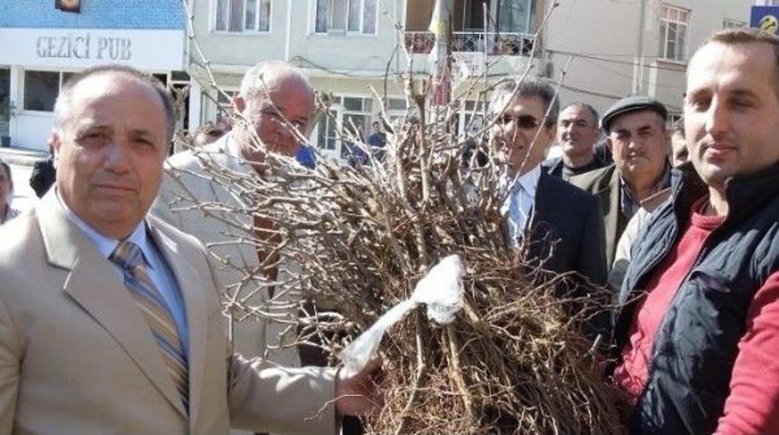 Edirne'de 31 Bin Bağ &Ccedil;ubuğu Dağıtıldı