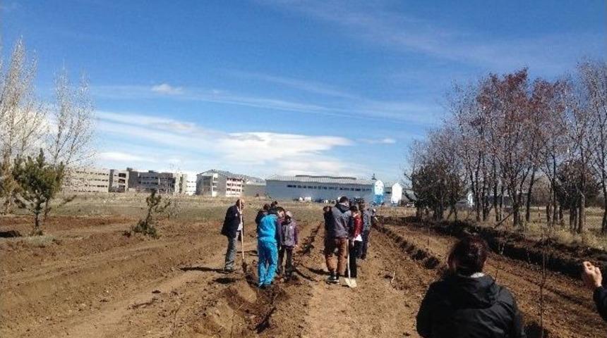 Atat&uuml;rk &Uuml;niversitesi Su &Uuml;r&uuml;nleri Fak&uuml;ltesi &Ouml;ğrencilere 300 Adet Fidanı Toprakla Buluşturdu