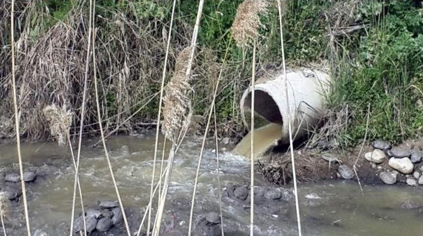 Ak Parti&rsquo;li Savaş&rsquo;tan Belediyeye &Ccedil;evre Kirliliği Eleştirisi