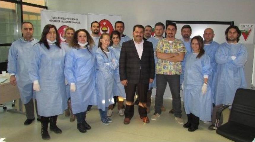 Veterinerlere Ağız Hastalıkları Semineri