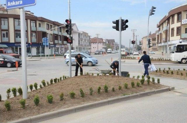 Düzce Kent Merkezinde Sinyalizasyon Çalışması