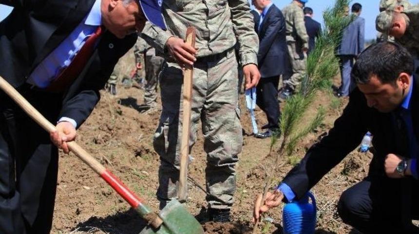 Jandarma Batman&rsquo;a 2 Bin Fidan Dikti