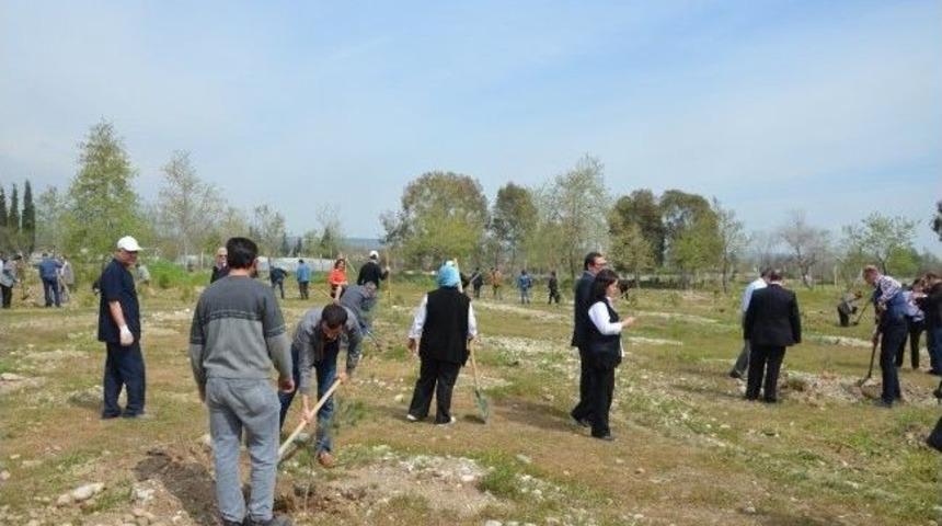 Dsi 13. Bölge Müdürlüğü, Bin Fidan Dikti