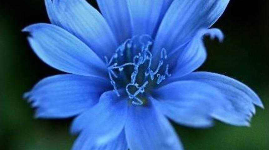 Adanalı Hakimlerden Sanat Etkinliği