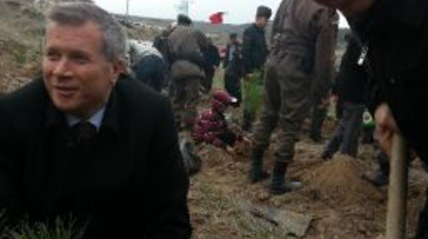 Başkan Tun&ccedil;oğlu, M&uuml;d&uuml;r G&uuml;lnaz İle 'dostluk Ağacı' Dikti