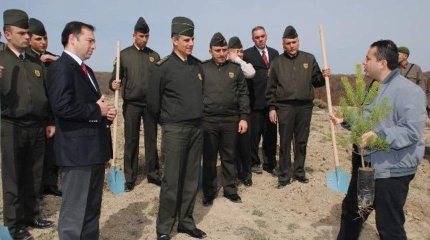Yozgat Jandarma Fidan Dikti
