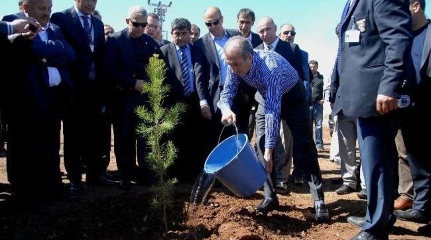 Bakan Eker Fidan Dikti