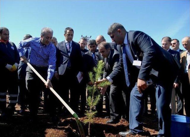 Bakan Eker Fidan Dikti