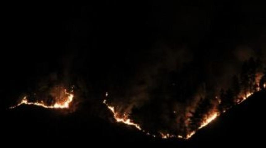 Rize&rsquo;nin Ardeşen İl&ccedil;esinde Orman Yangını