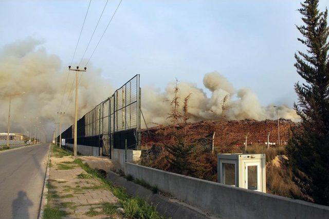 Adana'da Kereste Fabrikasındaki Yangın