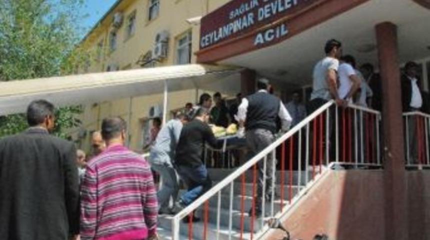 Ceylanpınar&rsquo;da Trafik Kazası: 1 &Ouml;l&uuml;, 1 Yaralı