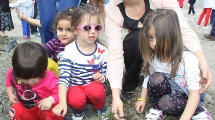 Erzin&rsquo;de Minik Eller Fidanları Toprakla Buluşturdu