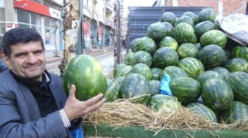 İran Karpuzu Tezgahlarda