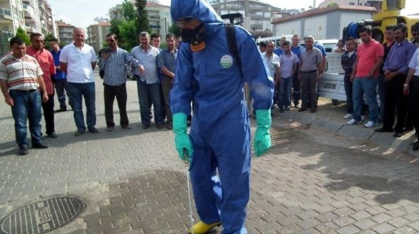 Haşere M&uuml;cadelesinde İzin Alma Zorunluluğu Getirildi