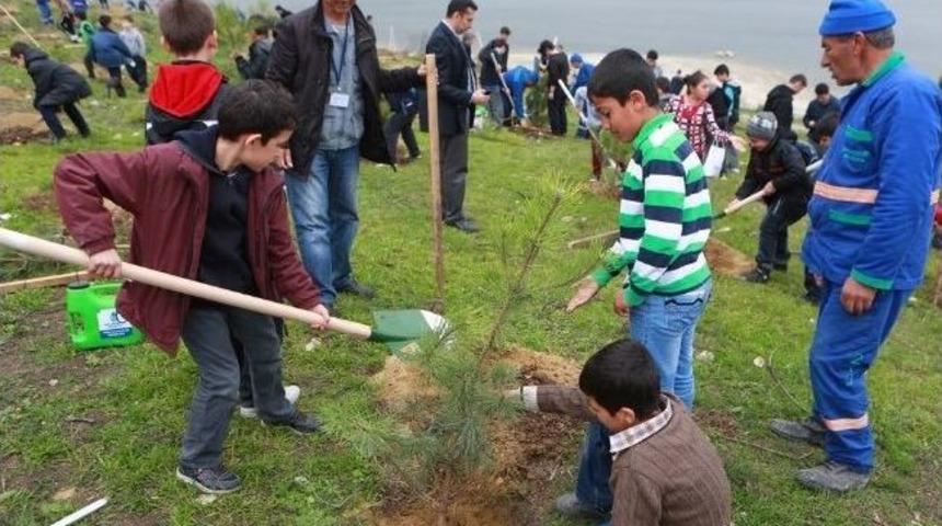 Başakşehirli &Ouml;ğrenciler 3 Bin Fidan Dikti