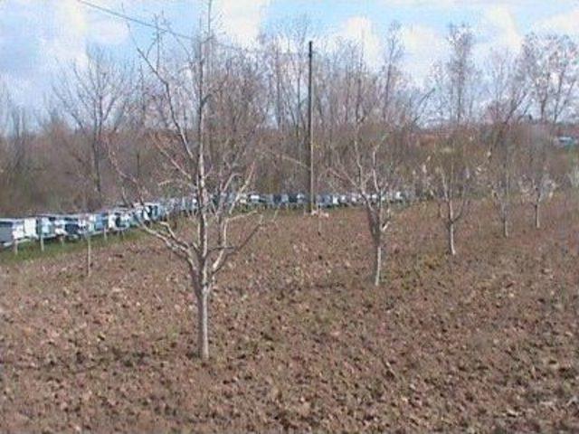 Kırklareli’deki Arı İşletmeleri Denetleniyor