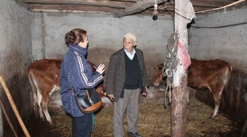 K&ouml;yl&uuml;ye Koruyucu Hekimlik Hizmeti