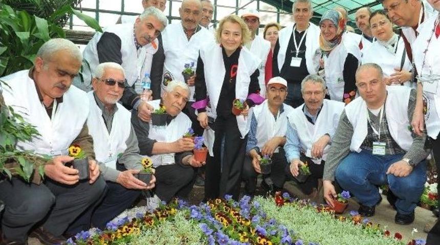B&uuml;y&uuml;kşehir&rsquo;in &ldquo;bah&ccedil;ıvanlık Kursu&rdquo; Başlıyor