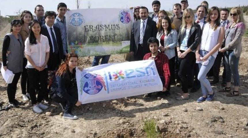 Sel&ccedil;uk&rsquo;un Yabancı &Ouml;ğrencileri Kamp&uuml;se Fidan Dikti