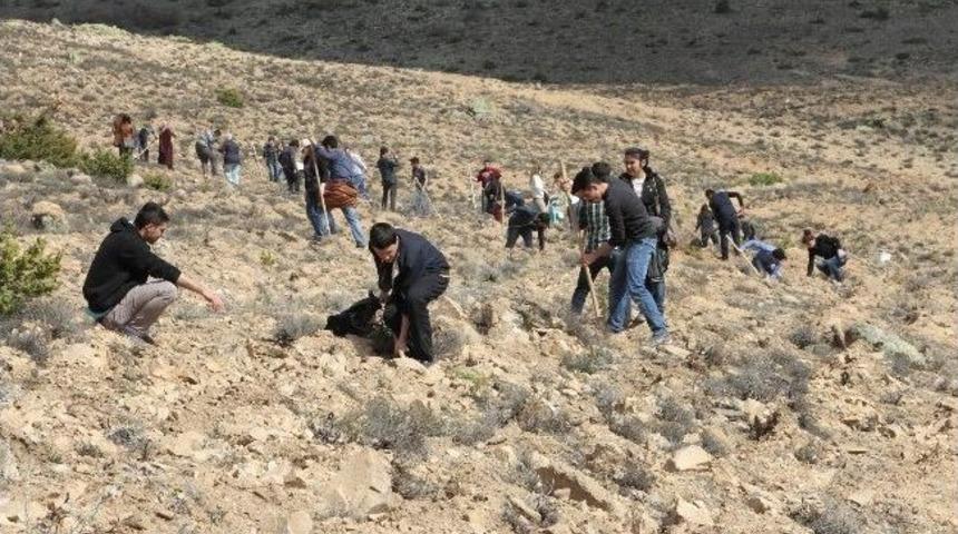 Bozok Üniversitesi Kampüsü Yeşile Bürünüyor