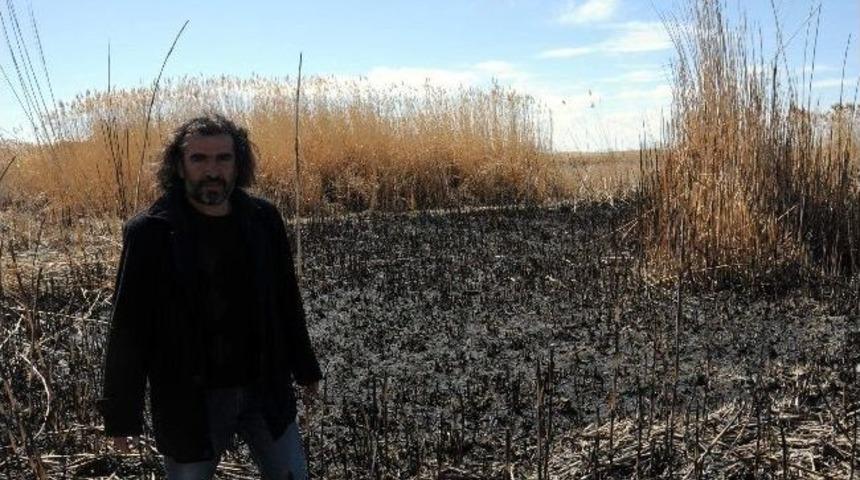 Yabani Kuşlar Evsiz Kaldı