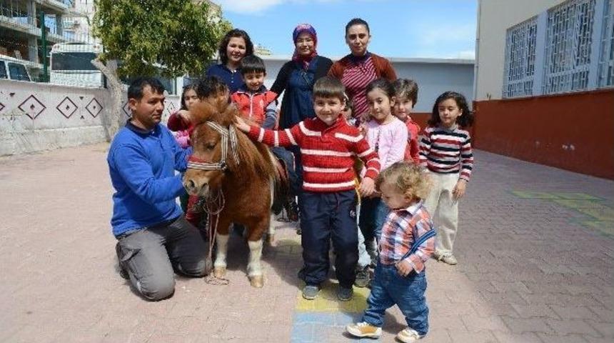 Anasınıfı &Ouml;ğrencilerine Hayvan Sevgisi Aşılandı