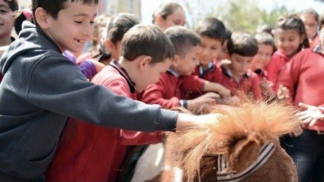 Anasınıfı Öğrencilerine Hayvan Sevgisi Aşılandı